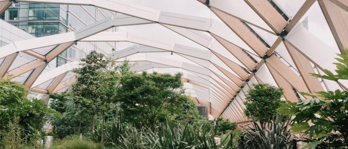 Arkitektritat hus av glas